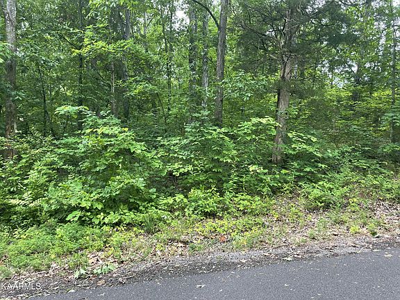 5th image of 48 Driftwood Cir Lot 48