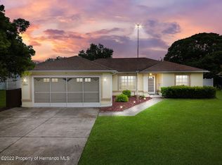 11421 Parkview St, Spring Hill, FL 34609