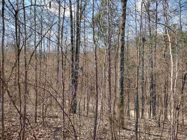 0 Younger Access Rd, Mountain View, AR 72560