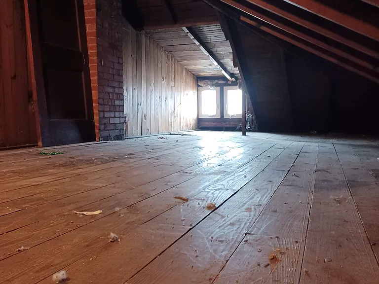 ATTIC
