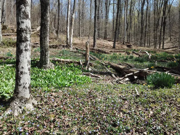 542 Fisk Hollow Rd, Shinglehouse, PA 16748