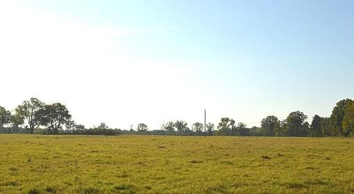 5th image of 2238 County Road 4316 N