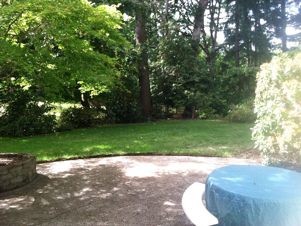 Backyard from family Room