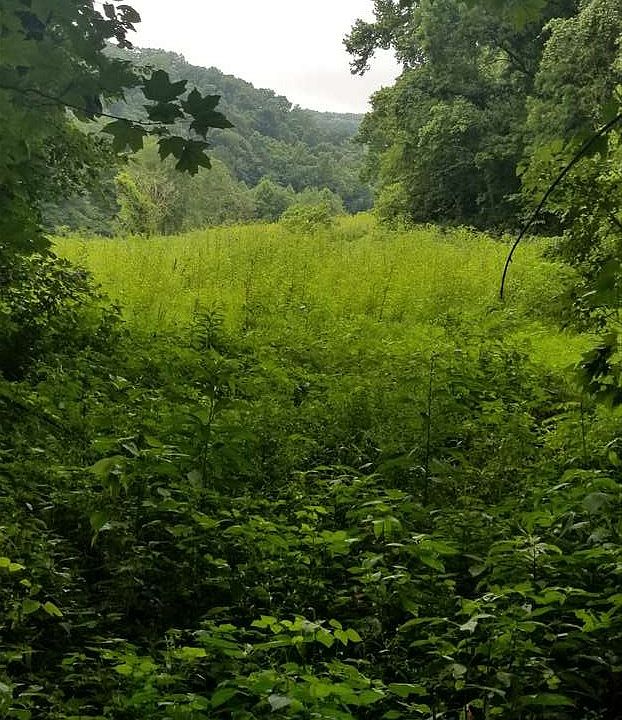 2nd image of 1992 Disterdick Ln