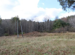 321 Lockwood Hill Rd, Mount Upton, NY 13809