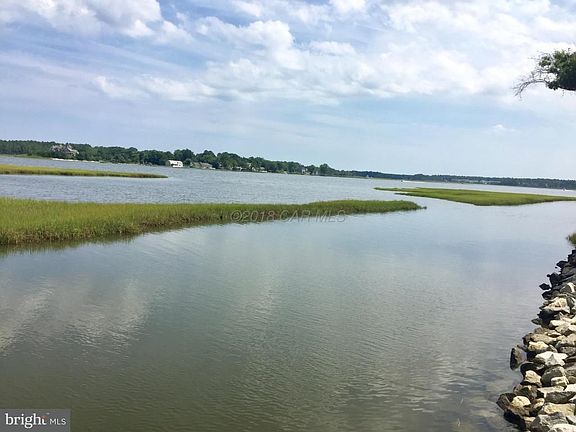 Gorgeous Water View from Dock