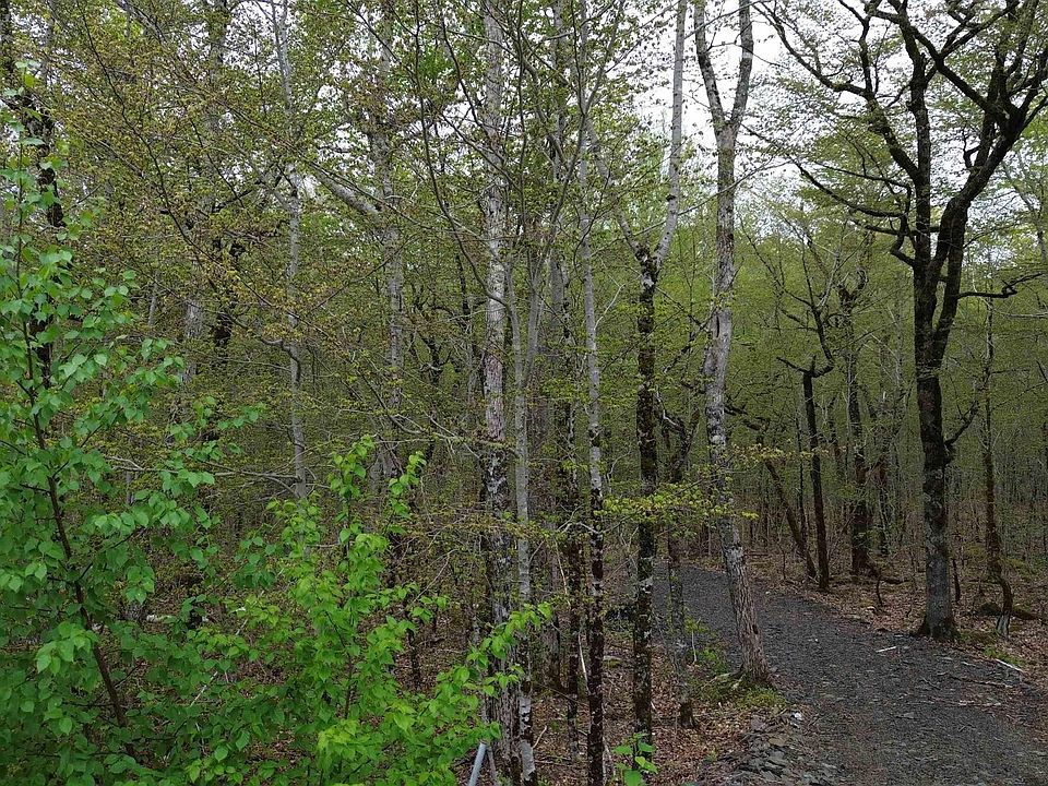 1st image of 46 Turner Point Rd