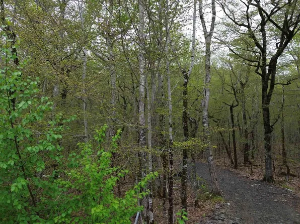 46 Turner Point Rd, Walden, NS B0J 2E0