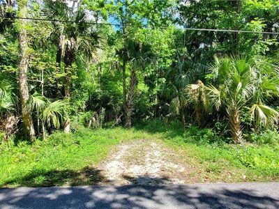 Elm St, Oviedo, FL, 32765