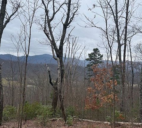 2nd image of 0 Ethan Rdg