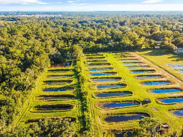 5010 RUTH MORRIS ROAD, WIMAUMA, FL 33598