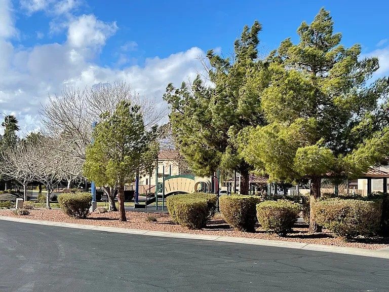 733 Emerald Idol Pl — Photo 20