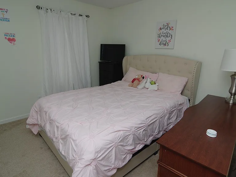 212 Glossy Green Ln — Photo 19