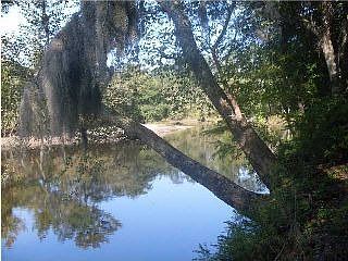 2nd image of 398 Four Hole Rd