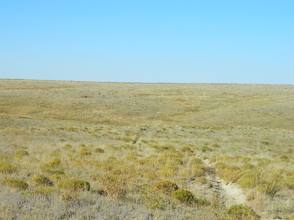 1st image of Tbd Hwy 14 Briggsdale #3