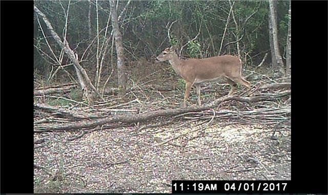 1st image of 3194 County Road 203