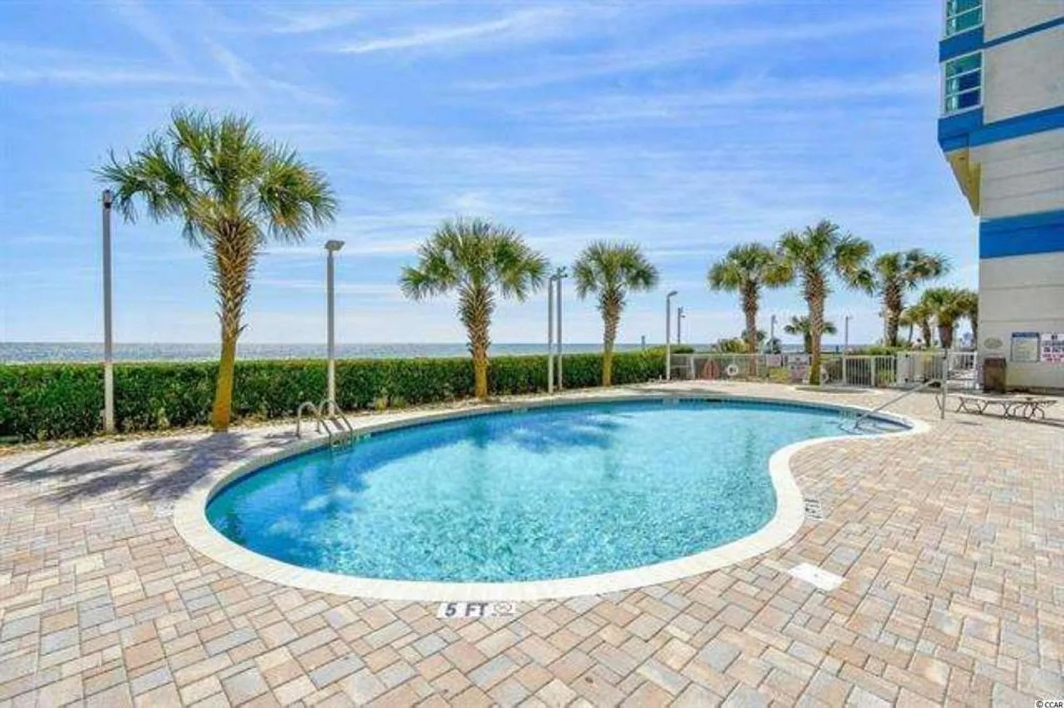 1 bed, 1.0 bath, 624 sqft, $2,634 — Photo 4