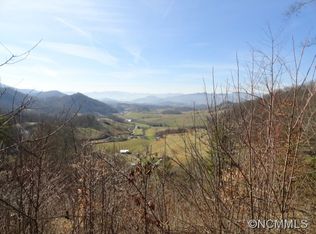 206 Cale Way, Clyde, NC 28721