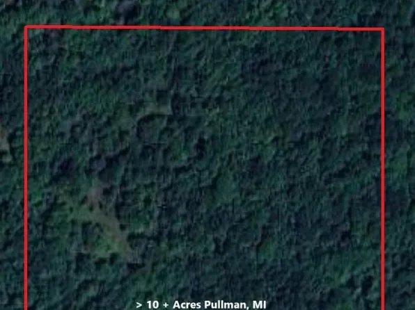 V/l 5953 108th Ave, Pullman, MI 49450