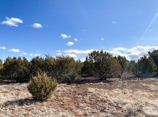 9377 Coral Rd, Show Low, AZ 85901