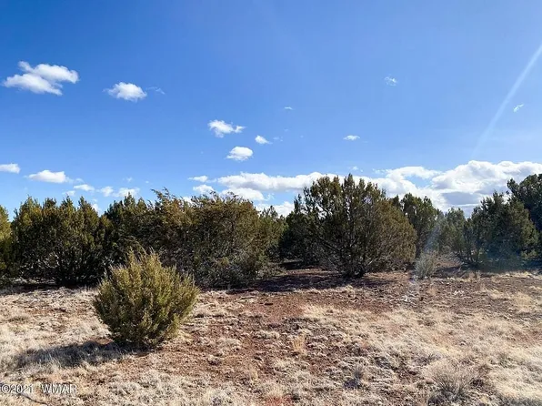 9377 Coral Rd, Show Low, AZ 85901