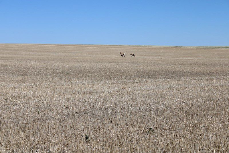 Antelope Ln, Harlowton, MT 59036 Zillow