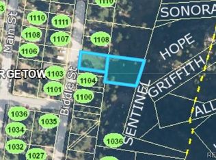 1106 Biddle St, Georgetown, CO 80444