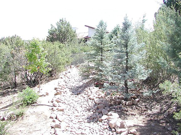 Backyard Rock Bed and Blue Spruc
