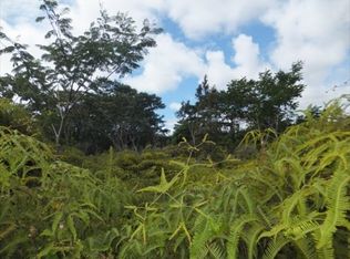 7 Avenue, Keaau, HI 96749