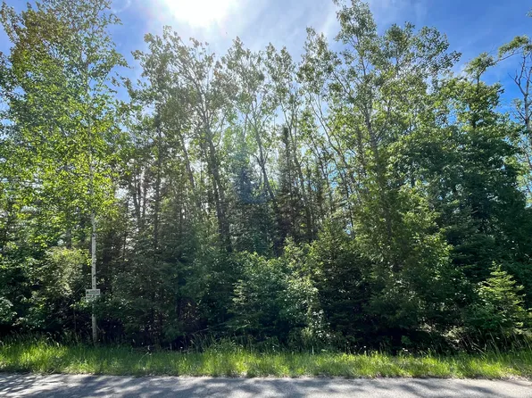 LOT 217 Shoreham Ct, Presque Isle, MI 49777