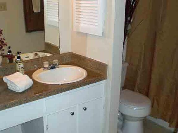 5th image of 2622 Kerrybrook Ct #A208
