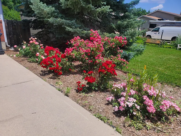 4030 Boulder Dr — Photo 18