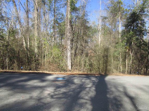 2nd image of 4700 White Ash Rd