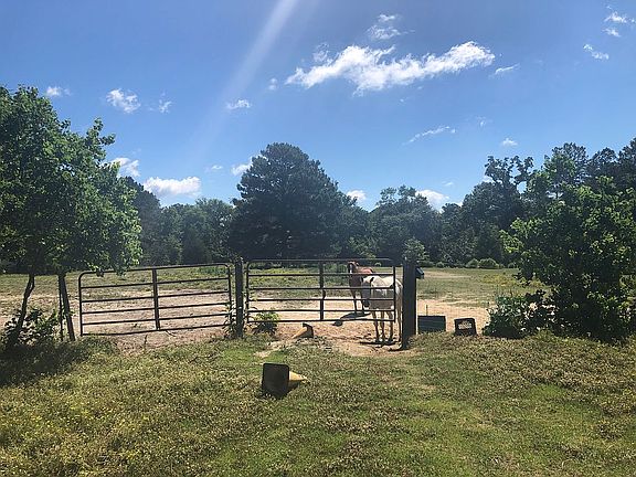 Back pasture