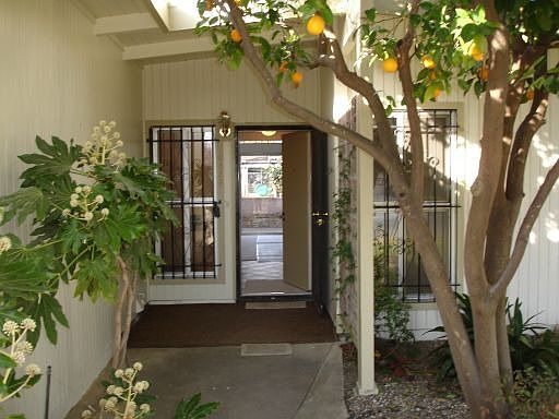 The outside of this home has mature landscape with grapefruit tree, orange trees and grapes. 