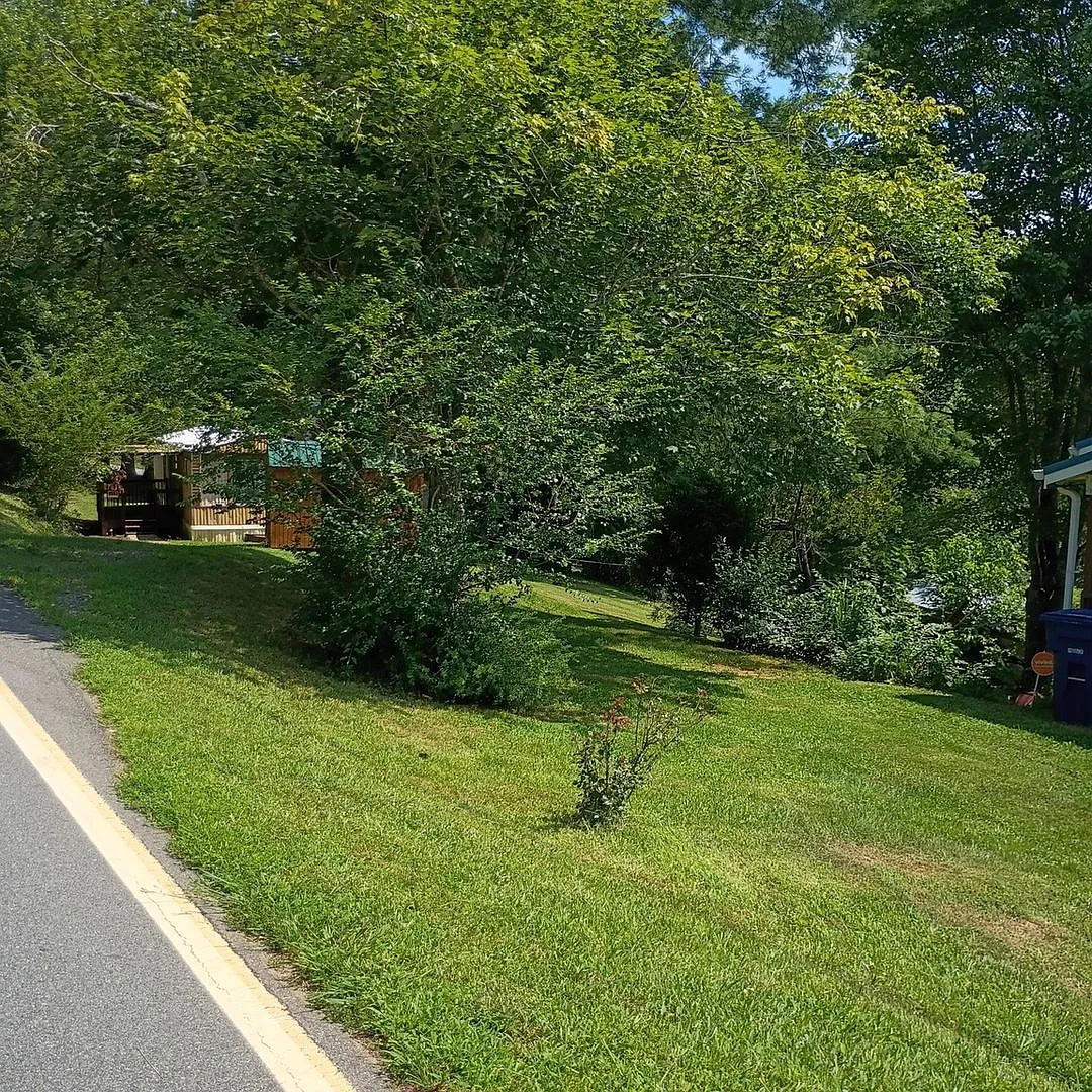 Charming 2BR House in Weaverville — Photo 1