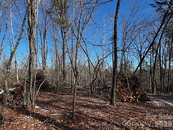 3rd image of 0 Painters Gap Rd