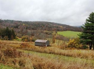 536 E Hill Rd, Middleburgh, NY 12122