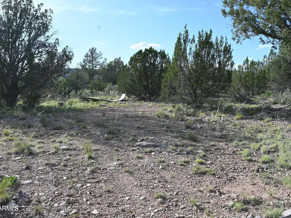 52084 N CALLE CIERVO -- #2064, Seligman, AZ 86337