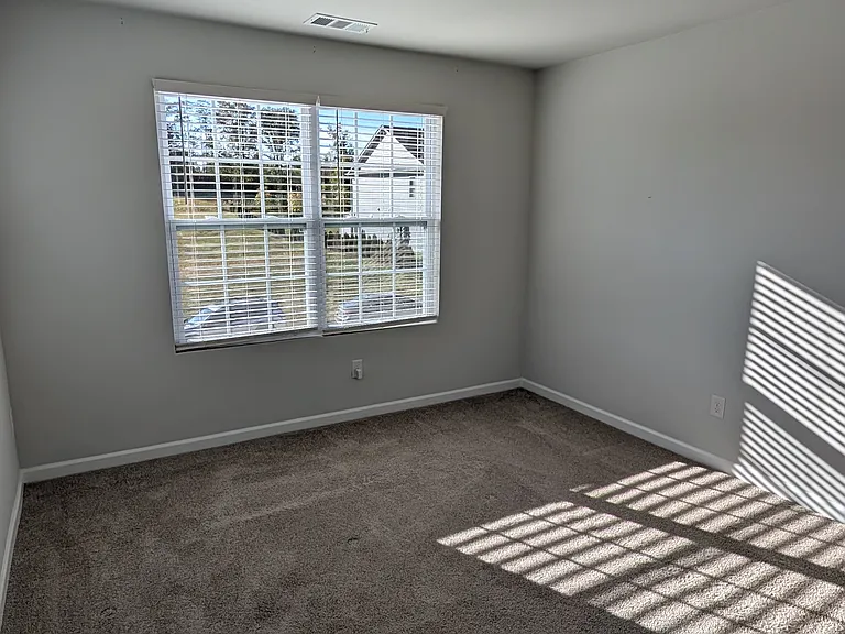 163 Dale Mires Ln — Photo 28