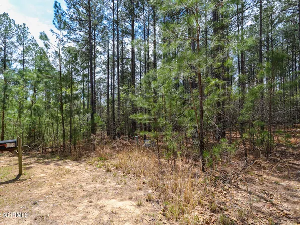 168 Second Wind Court, Jackson Springs, NC 27281