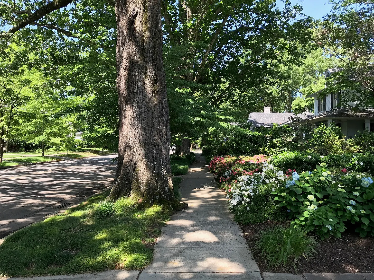 3 bed, $1,800 — Photo 4