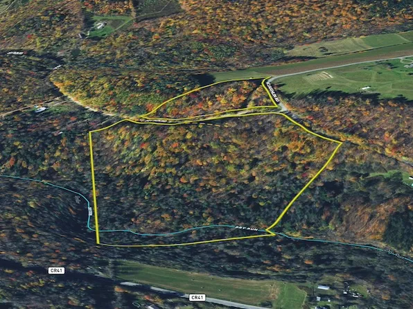 Dry Run Rd Lot Wp001, Beaver Dams, NY 14812