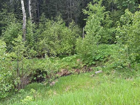 4th image of 229 Mountain Lion Dr