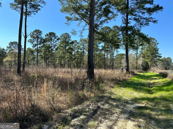 0 Johnson Rd, Cairo, GA 39828