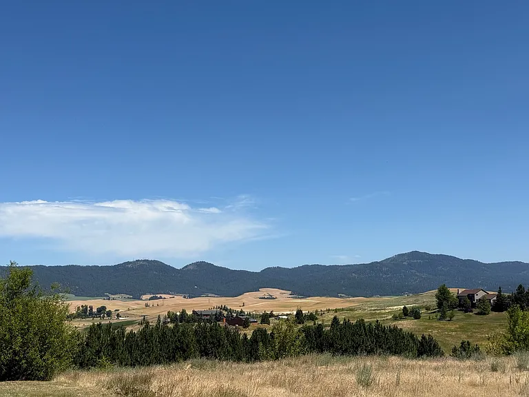 View from deck and front porch