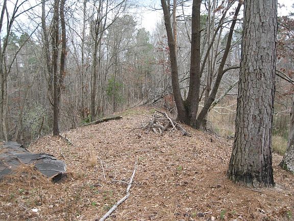 4th image of 0 Willow Springs Rd