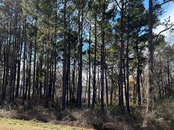 5227 Grand View Dr, Athens, TX 75752