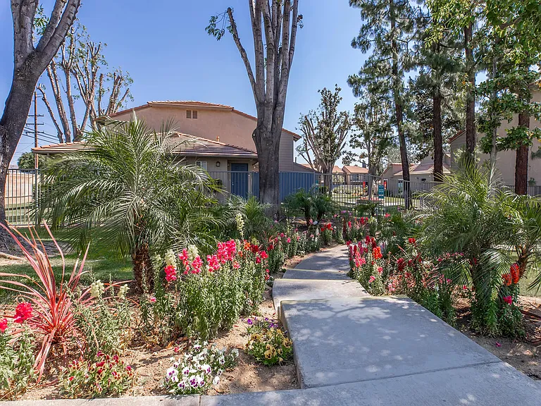 Sierra Vista — Photo 19