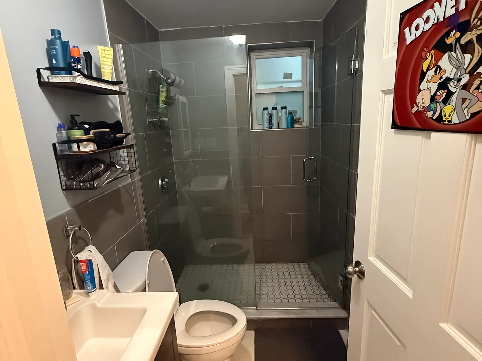 3 bed, 1000 sqft, $4,500 — Photo 3